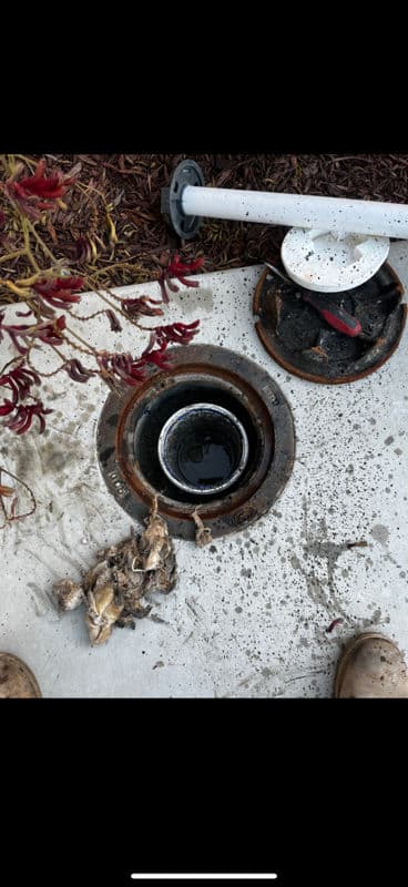 Project Sewer Clog Clean-Up in Grover Beach image