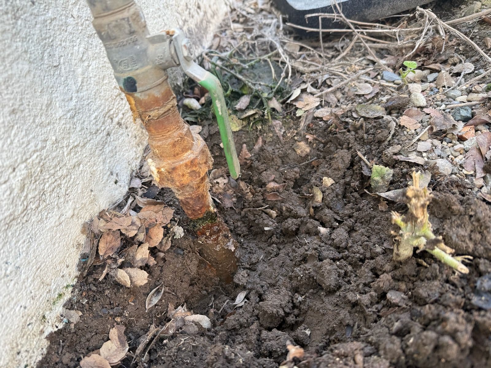 Project Outdoor and Indoor Plumbing TLC in Santa Maria image