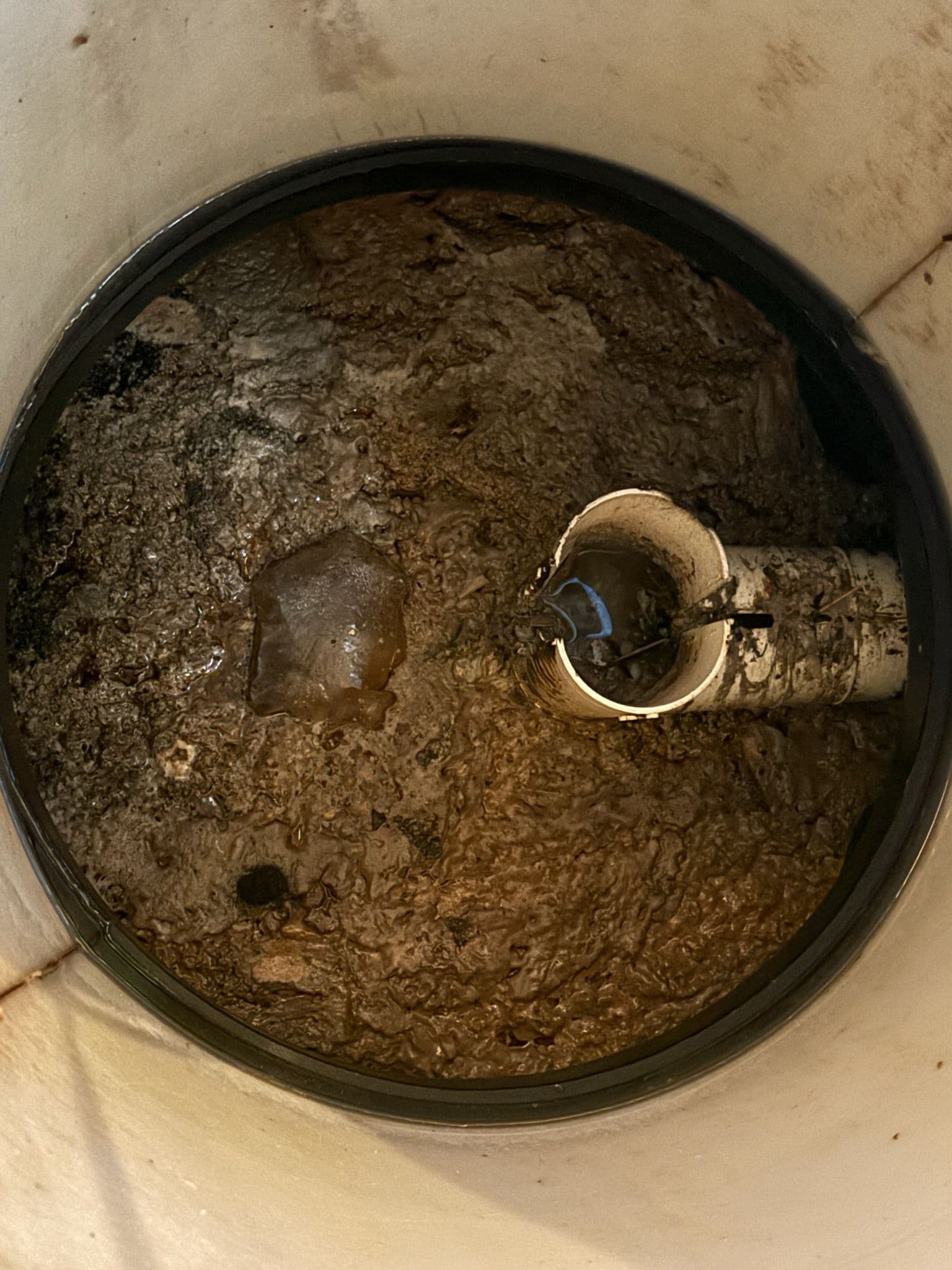 Expert Grease Trap Cleaning Solutions